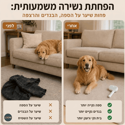 אוספים את השיער המת בבית לפני שהוא מתפזר בבית - Looni™