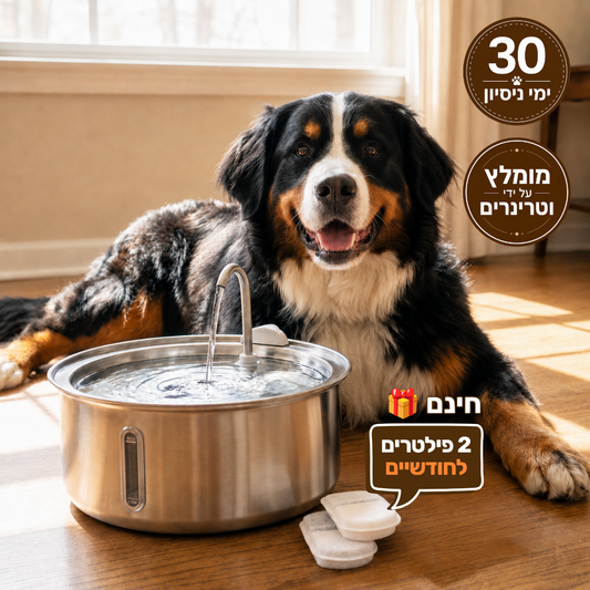 המארז שעוזר לכלב שלך להישאר בריא ומאושר לאורך שנים