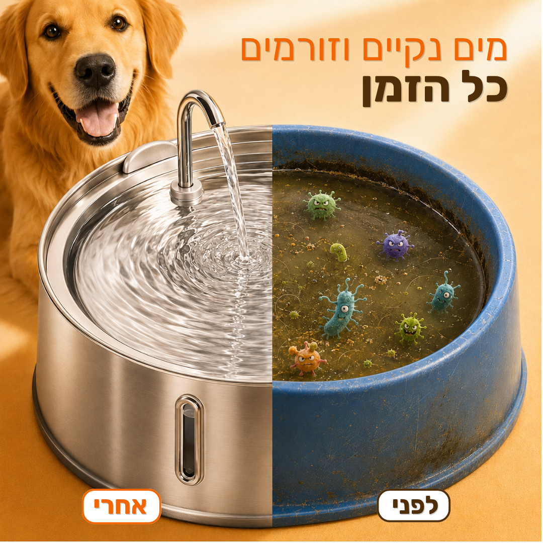 המארז שעוזר לכלב שלך להישאר בריא ומאושר לאורך שנים
