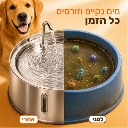 המארז שעוזר לכלב שלך להישאר בריא ומאושר לאורך שנים