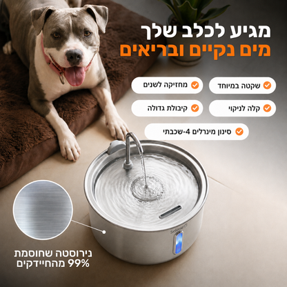 המארז שעוזר לכלב שלך להישאר בריא ומאושר לאורך שנים