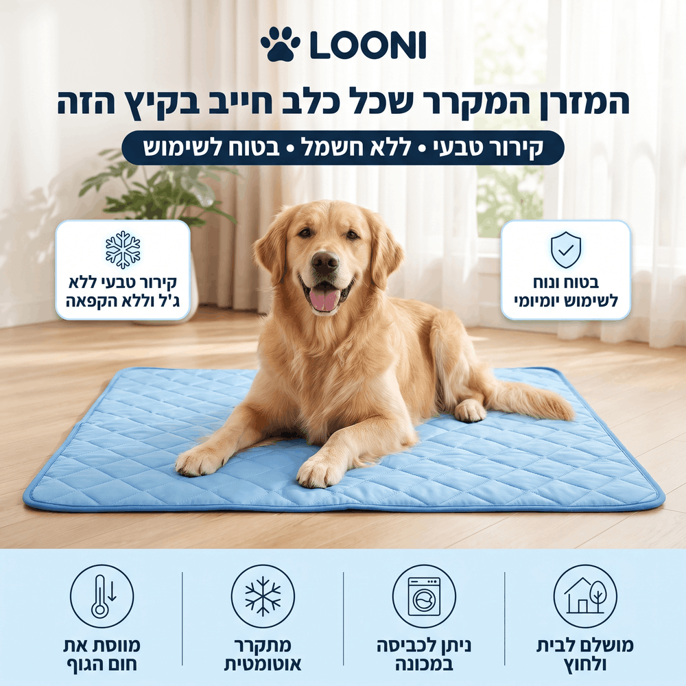 ™Looni - הפתרון לחום של הקיץ