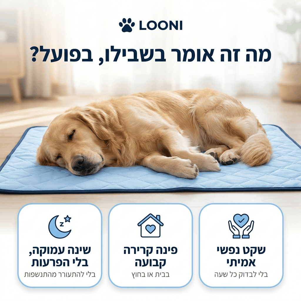 ™Looni - הפתרון לחום של הקיץ